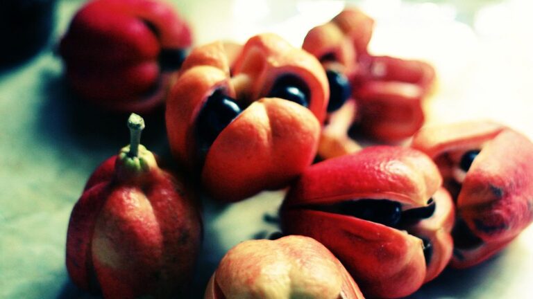 Dining with Danger: 8 Delicacies That Can Kill You If Prepared the Wrong Way
