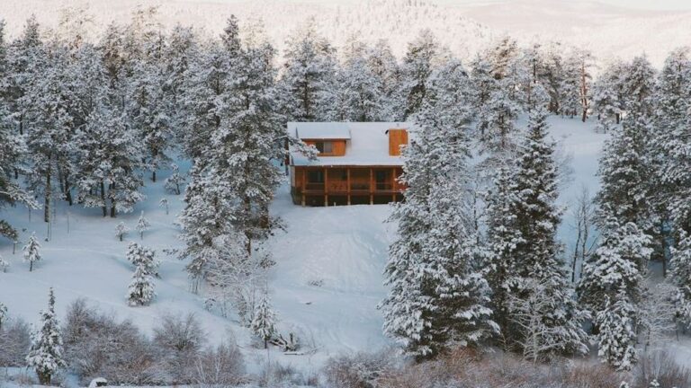 A Triple-Shot Polar Vortex Is Approaching - Will Your State Feel the Deep Freeze?