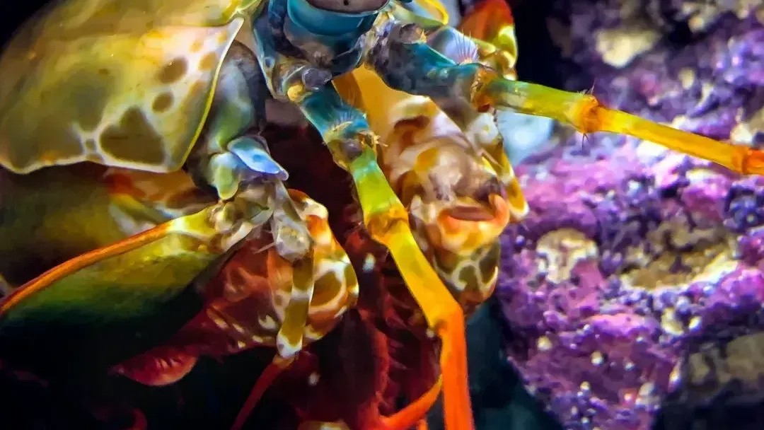 5 Science Facts That Sound Fake but Are Actually True