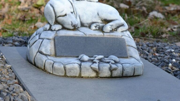 10 Things You're Legally Not Allowed to Bury in Your Yard (Yet People Still Do)