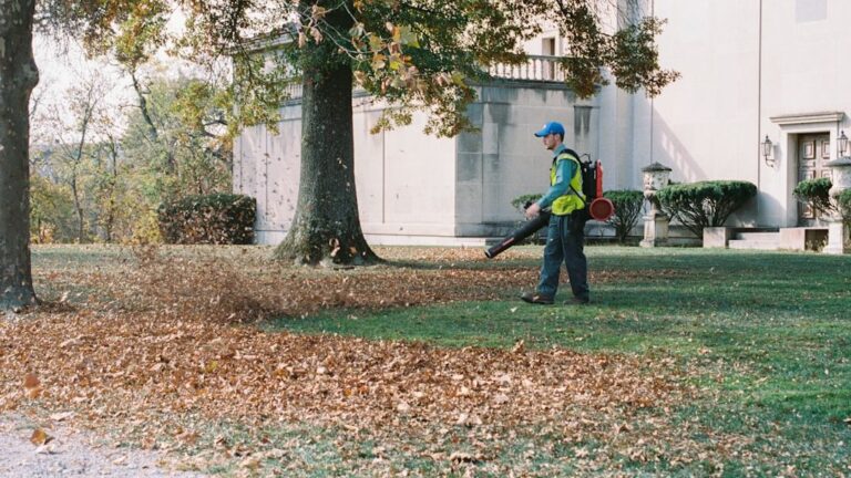 8 Everyday Tools That Could Soon Be Banned From Backyards
