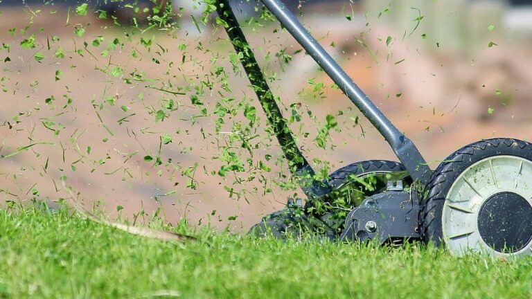 6 Items You're Not Legally Allowed to Buy for Your Yard (But Many Do Anyway)