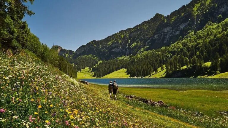 15 Countries Where People Enjoy the Most Comfortable Lives