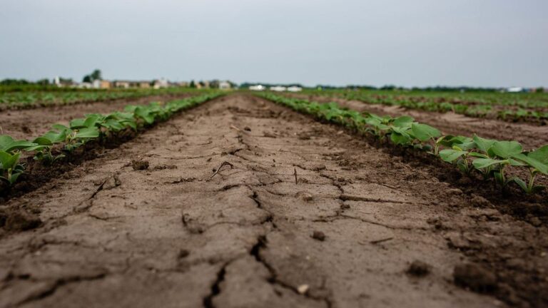 10 Little-Known Facts About the Ogallala Aquifer That Supplies 20% of the U.S.