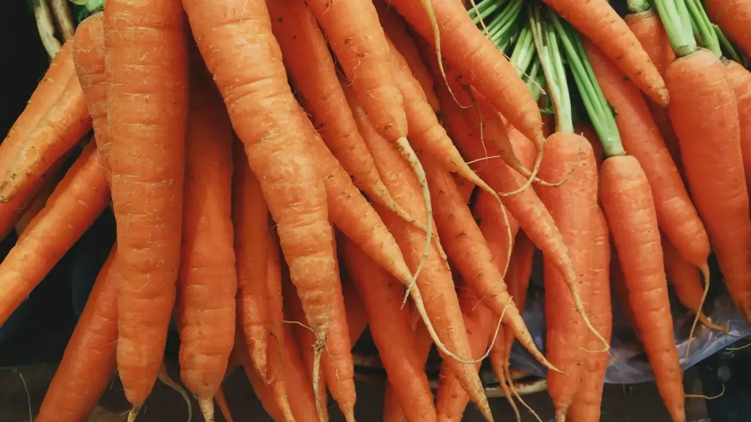 8 Foods Experts Say You Should Stop Throwing Away