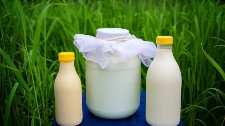 Parasite Alert: 10 Regional U.S. Foods Linked to Rare and Deadly Bacterial Threats