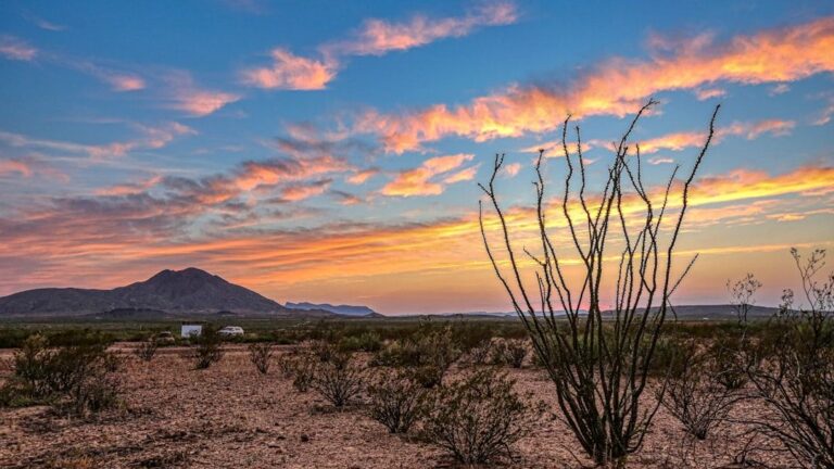 Don't Retire in Florida: These 5 States Are Quickly Taking Its Place