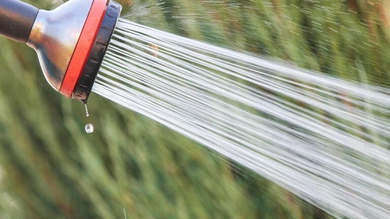 How Often Should You Really Shower? Experts Say Many People Get It Wrong