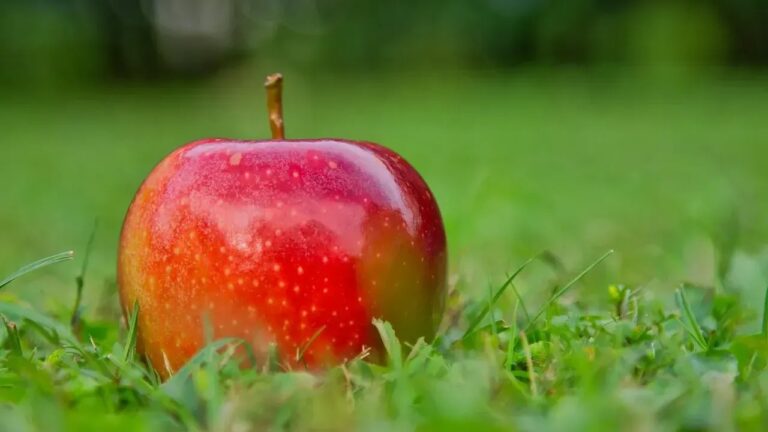 The Healthiest Apples For Digestion, Blood Sugar Control, And Gut Health
