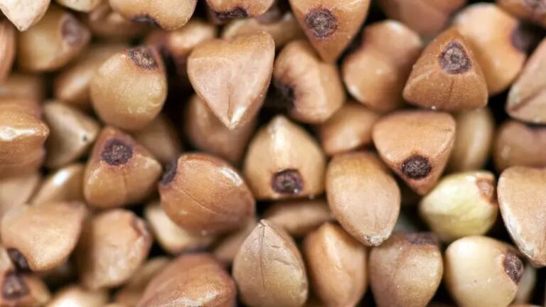 5 Foods With More Magnesium Than Dark Chocolate - Yet Few Know About Them