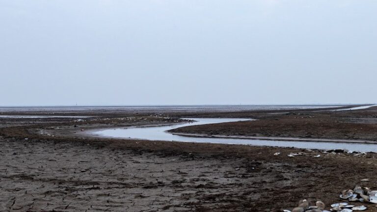 Experts Warn: 9 States May Face Severe Water Shortages Sooner Than Expected