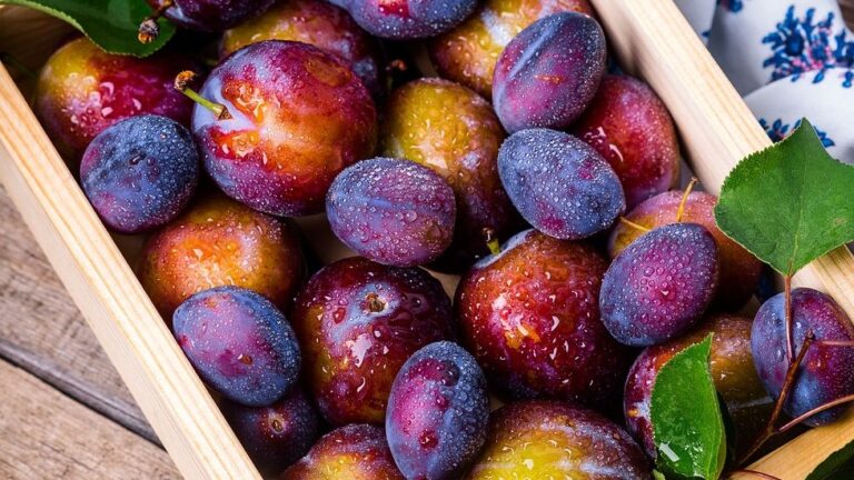 10 Vacation Souvenirs You're Not Legally Allowed to Bring Home