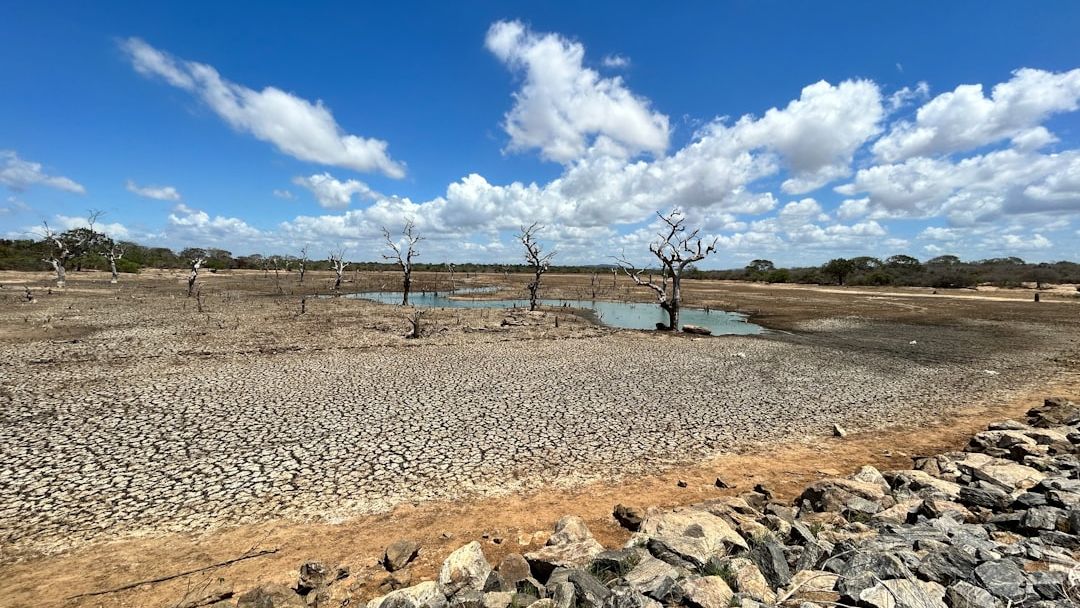 Scientists Say 10 States Could See Severe Water Shortages Earlier Than Forecast