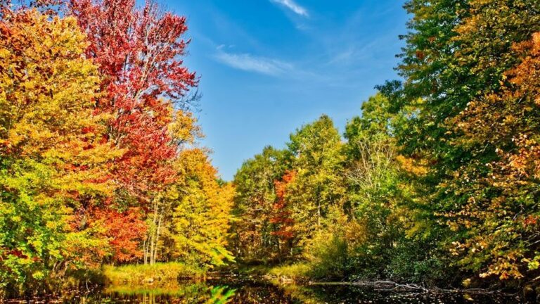 I Was Set on Florida - Now 7 States Are Emerging as New "Climate Havens"