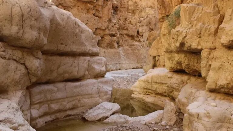 6 U.S. States Scientists Say May Face Extreme Water Stress Sooner Than Expected