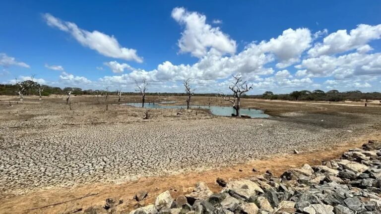 Scientists Say 9 States Could See Severe Water Shortages Earlier Than Forecast