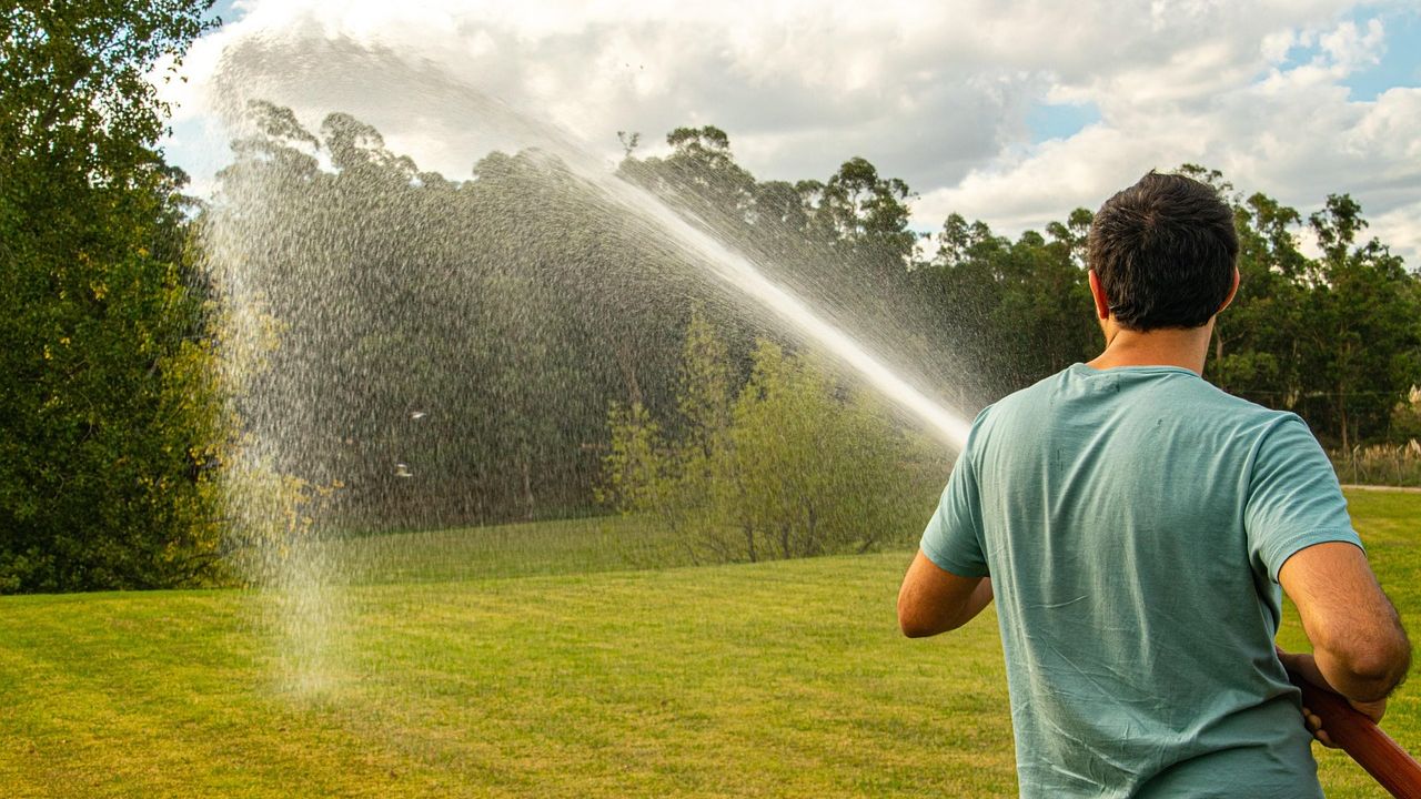 10 Things You Should Avoid Doing Right After Cutting the Lawn