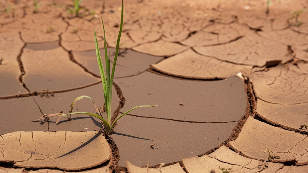 I Asked AI Where Living Could Become Hardest by 2050 - The Results Were Sobering