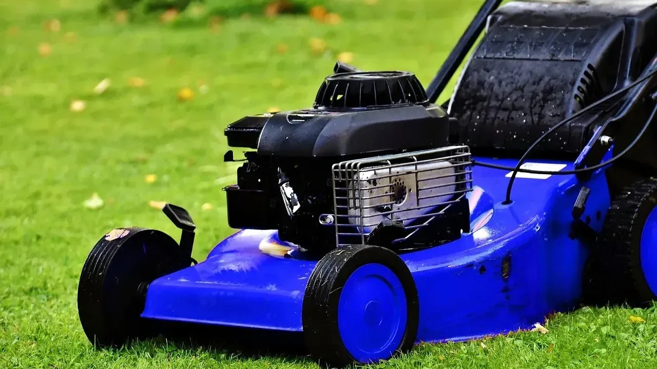 10 Things You Should Avoid Doing Right After Cutting the Lawn