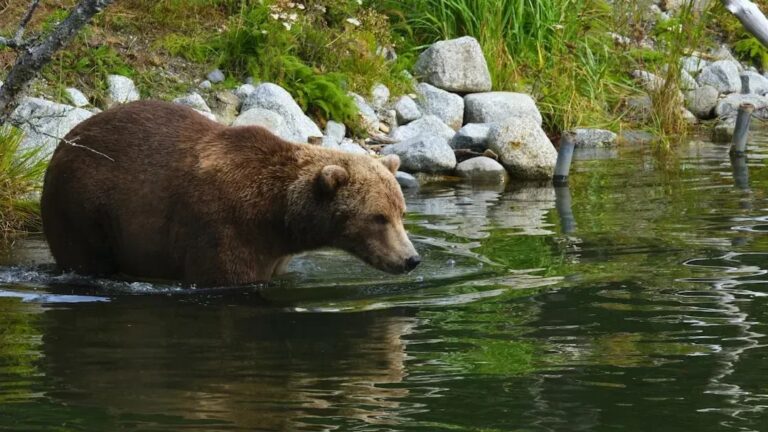 Americans Are Skipping These 10 National Parks - Here's Why