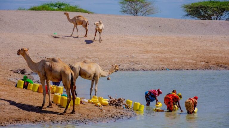 Desalination's Dark Side: Why It May Not Be the Silver Bullet We Hoped For