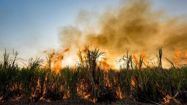 Meteorologists Warn: These 7 Home Weather Mods Are Illegal, Yet Some People Still Try Them