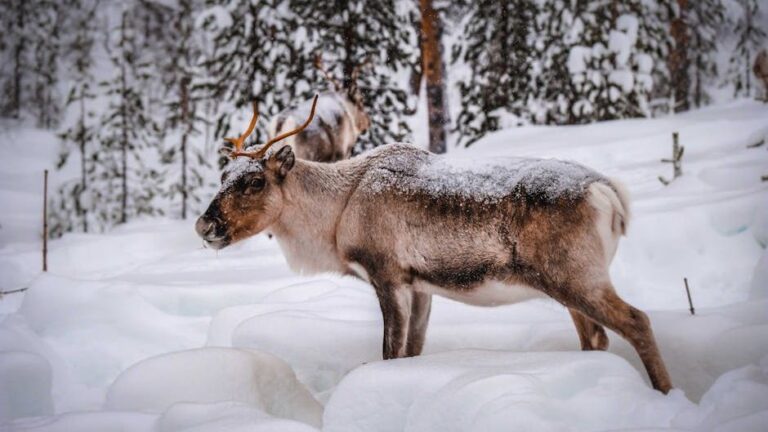 Americans Are Skipping These 10 National Parks - Here's Why