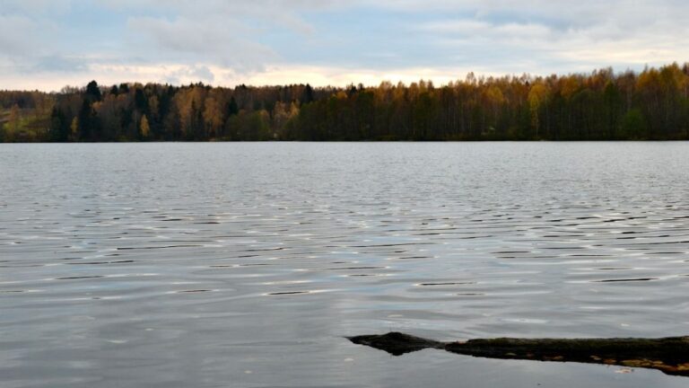 7 U.S. States Where You Can Still Find a Lakefront Home for Under $250K