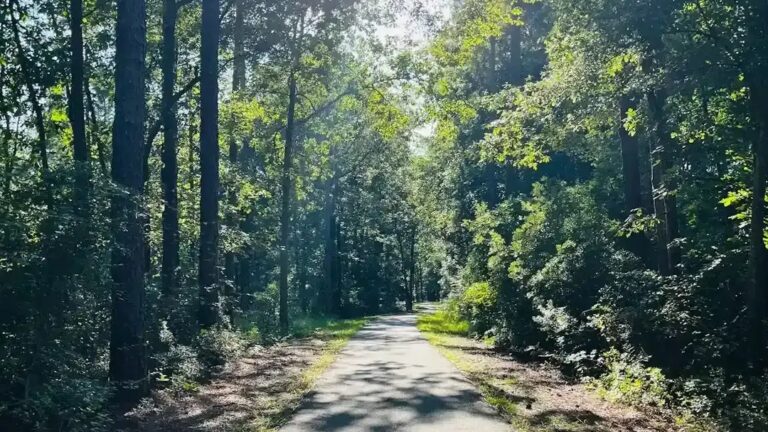 Why Americans Are Leaving Their Jobs to Move to These 9 Tiny Villages