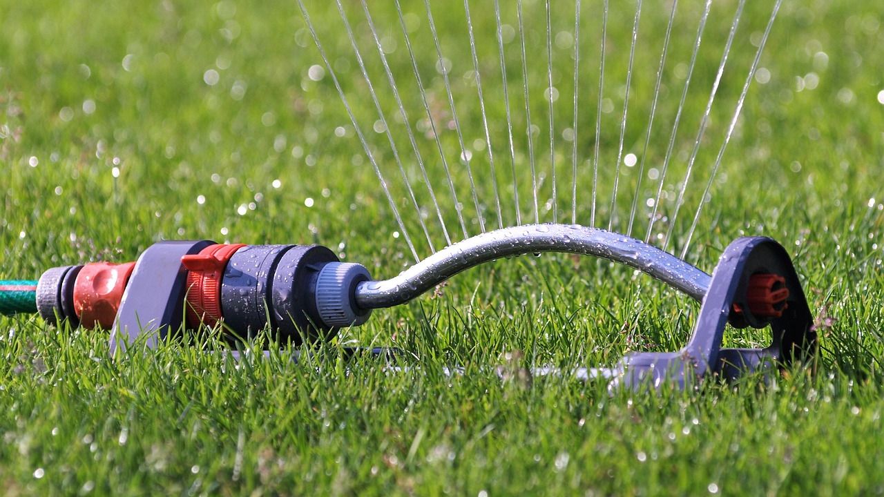4 Mistakes to Avoid Right After Mowing Your Lawn