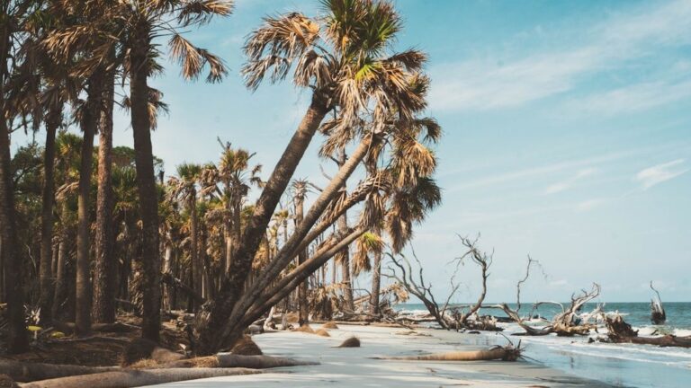 I Planned to Retire in Florida - But These 5 States Are Better. Here's Why