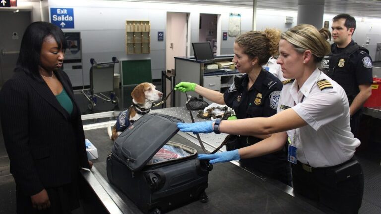 Gate Agents Reveal 7 Mistakes That Can Ruin Your Boarding Experience