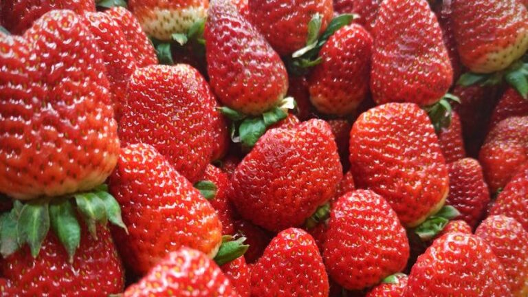 6 Grocery Items That Are a Waste of Money, According to Experts