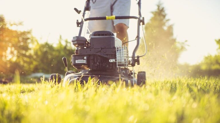 10 Lawn Care Mistakes to Avoid After Mowing