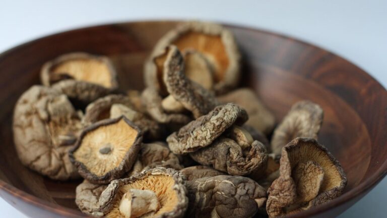 The Overlooked Ingredients That Elevate Ordinary Recipes